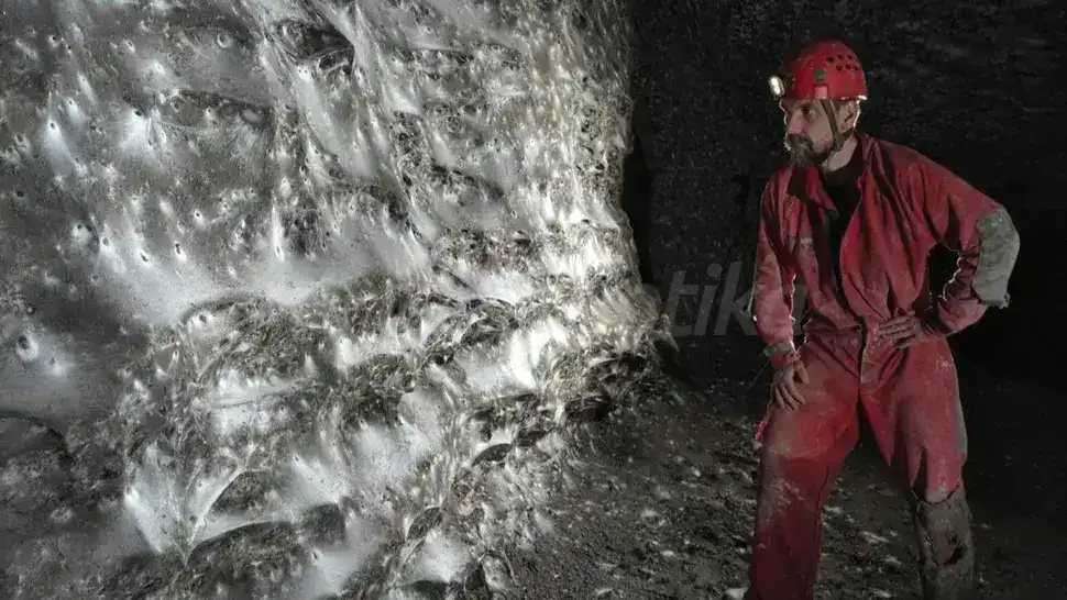 Αποικία 111.000 αραχνών σε σπήλαιο Ελλάδας–Αλβανίας