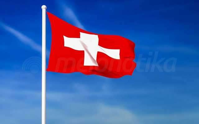 Νέες αποκαλύψεις για συνάντηση AfD-νεοναζί στην Ελβετία