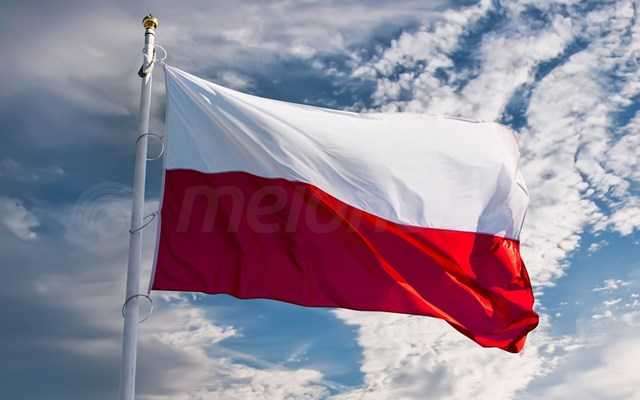 Πολωνία: Αντιαρματικές νάρκες στην... IKEA