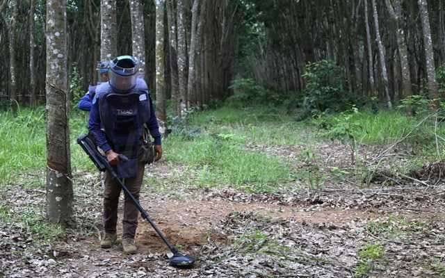 Σε υψηλό τετραετίας οι θάνατοι και οι τραυματισμοί από νάρκες το 2024