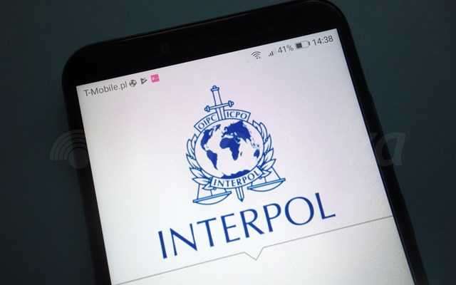 Interpol: Το λαθρεμπόριο ζώντων ζώων έφθασε σε νέα επίπεδα ρεκόρ