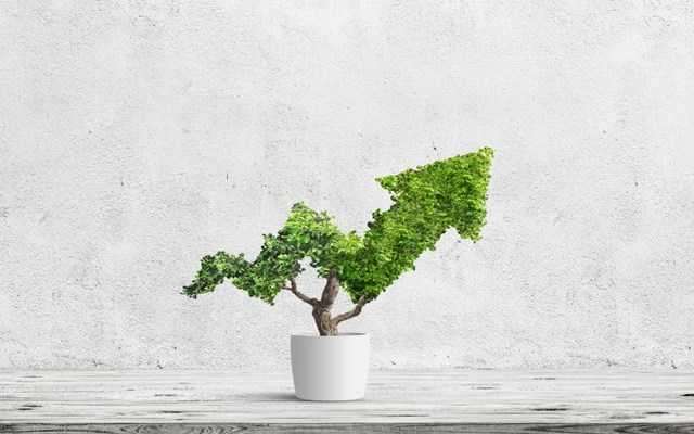 Andrew Forrest: Το στοίχημα του "πρασίνου" στις εξορυκτικές βιομηχανίες